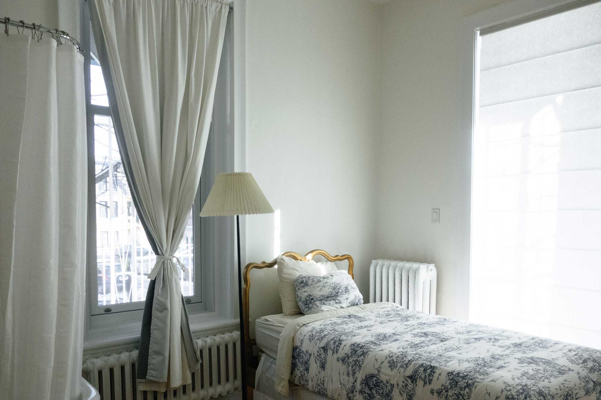 Can You See A Bed Bug With The Human Eye Bed Bug Lawyers