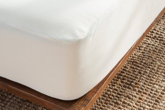 Mattress Covers & Bed Bugs | Do They Really Work?