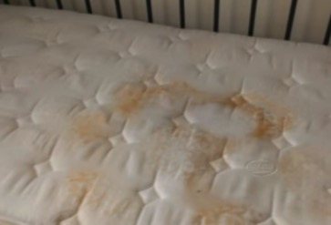 Mattress Covers Encasing For Bed Bugs, How Long Can Bed Bugs Live In Encasements