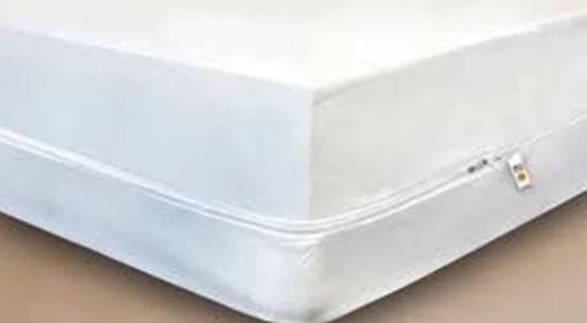 Mattress Covers Encasing For Bed Bugs, Bed Bugs Bite Through Mattress Protectors