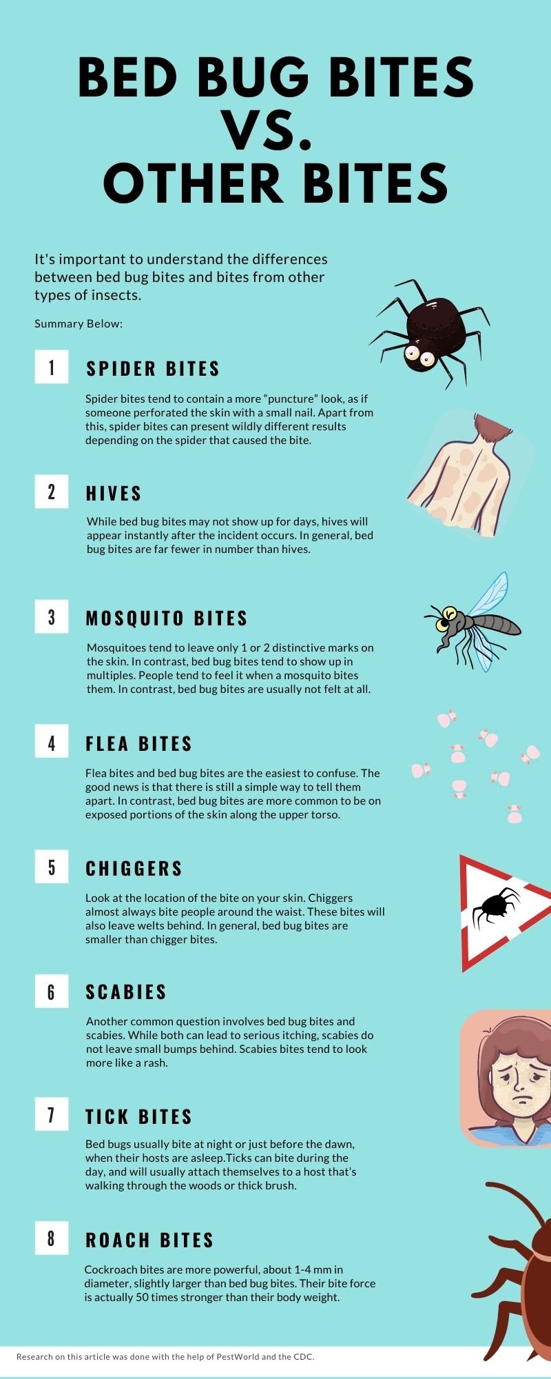 Bed Bug Bites Vs. Other Bites | Fleas, Hives, Chiggers [9+ Examples]