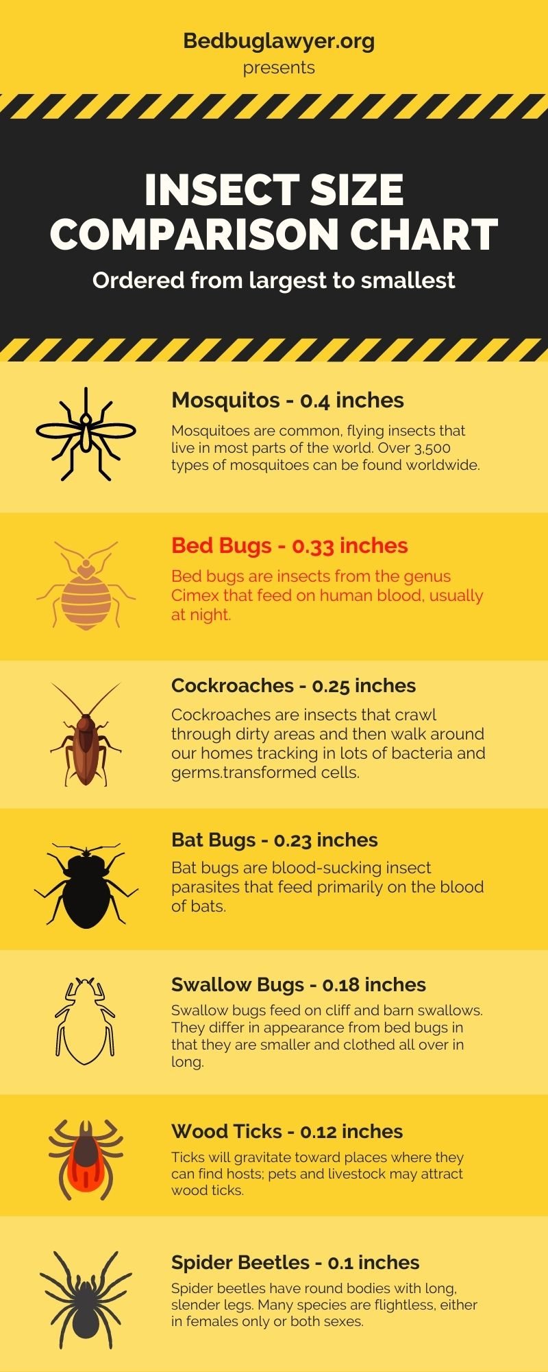 Bed Bug Size Comparison Chart