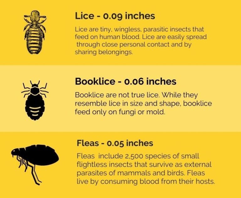 bed sizes comparison