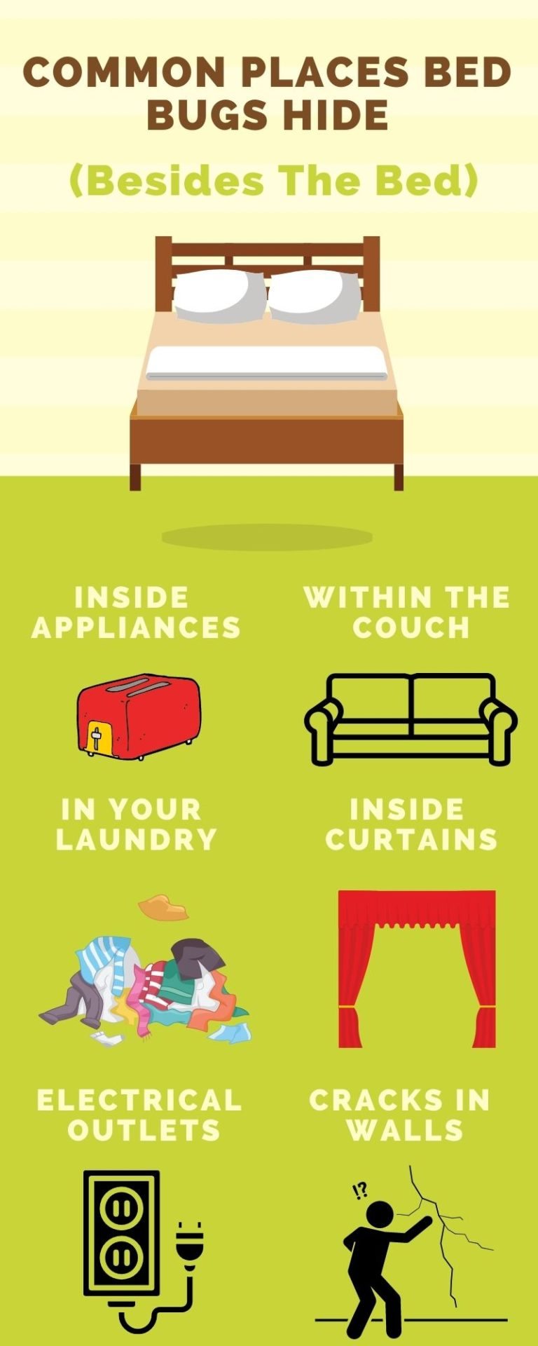 Bed Bugs Prevention, Identification & Removal [2022]