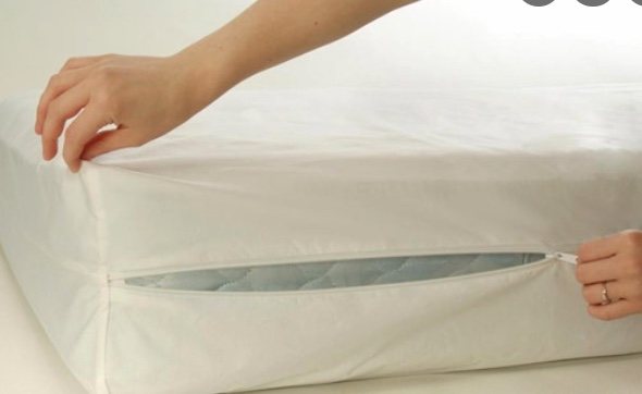Mattress Covers Encasing For Bed Bugs, Do Bed Bug Covers Work