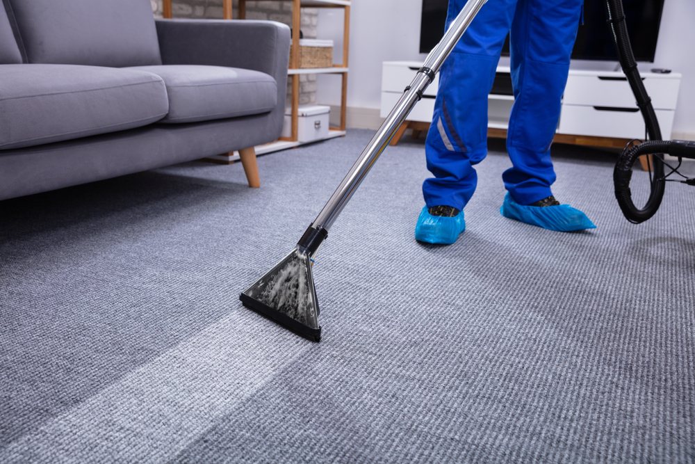 do-bed-bugs-live-in-carpeting-how-to-remove-bed-bugs-in-carpet