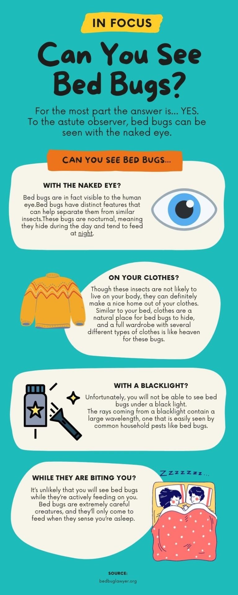 Can You See a Bed Bug With The Human Eye?