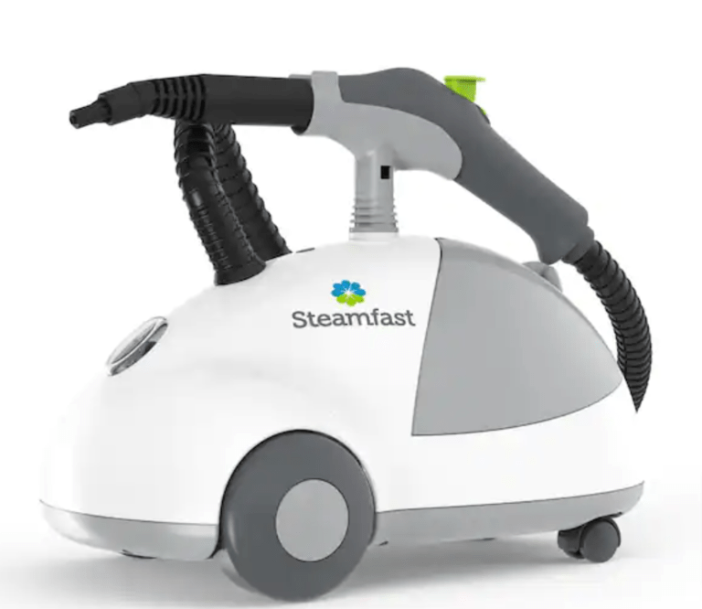 7 Best Bed Bug Steamers Can Steamers Really Kill Bed Bugs?