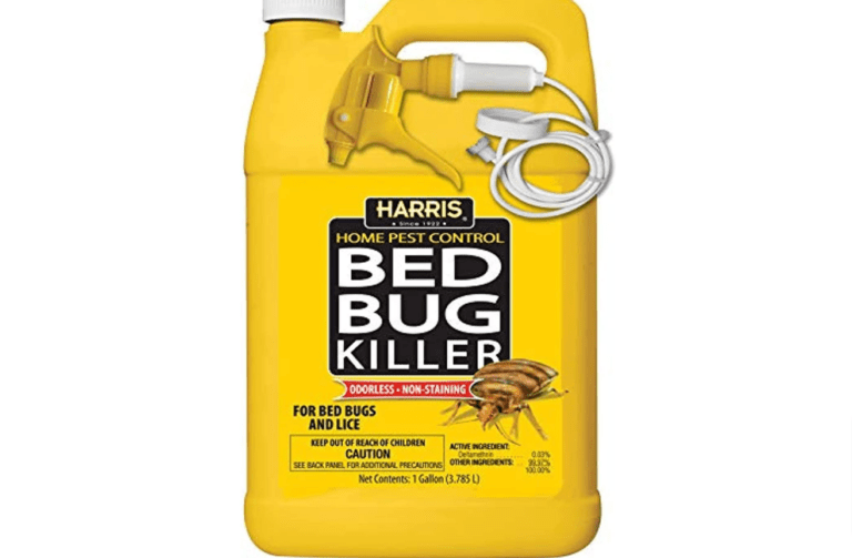 The 11 Best Bed Bug Killers | Sprays & Aerosols For Bed Bugs