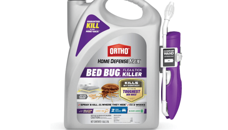 The 11 Best Bed Bug Killers Sprays And Aerosols For Bed Bugs 4533